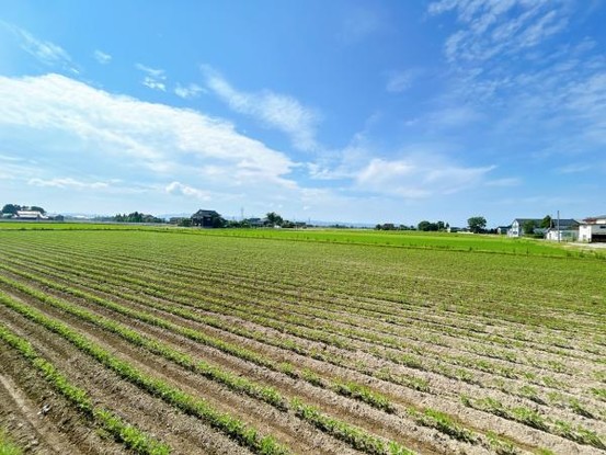 detached 富山県砺波市木下
地図を見る