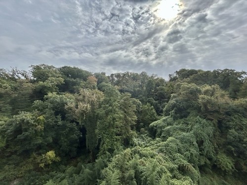 apartment 神奈川県横浜市栄区笠間３丁目44-1 メゾングランディオーズ1F