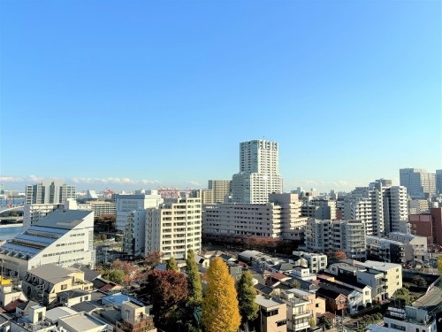 apartment 東京都品川区南品川５丁目3-13 コスモグランス南品川1階