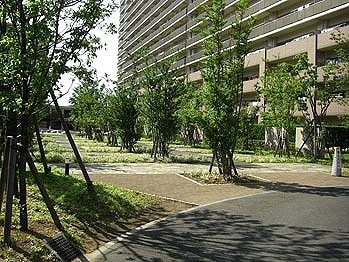 apartment 東京都立川市曙町２丁目13-3 立川三菱ビル7F