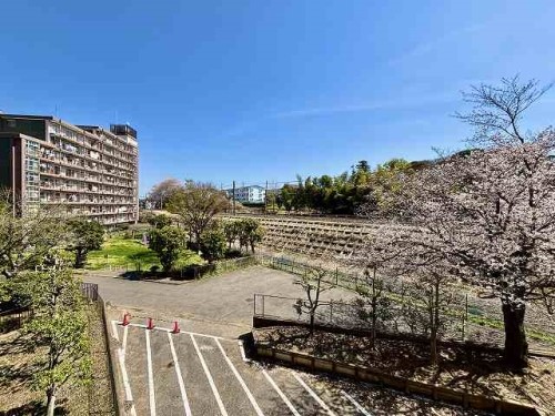 apartment 千葉県柏市柏３丁目6-29 サンライズ吉野4階