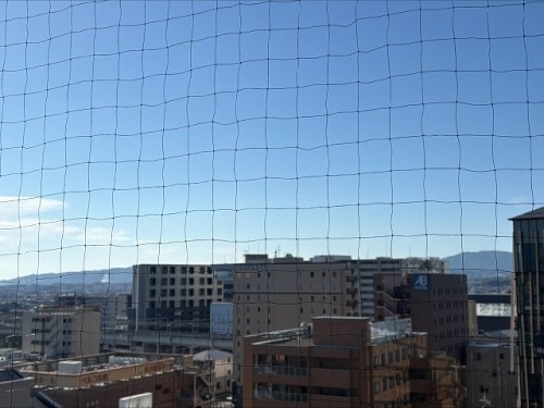 apartment 大阪府大阪市中央区道修町１丁目5-18 朝日生命道修町ビル1F