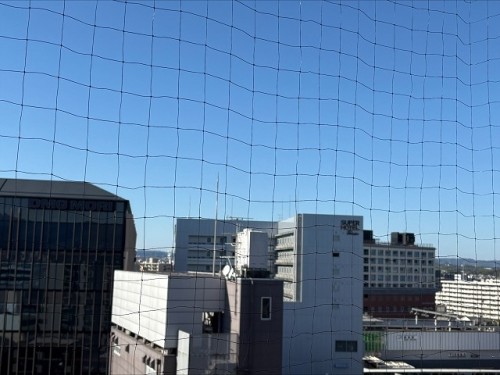 apartment 大阪府大阪市中央区道修町１丁目5-18 朝日生命道修町ビル1F