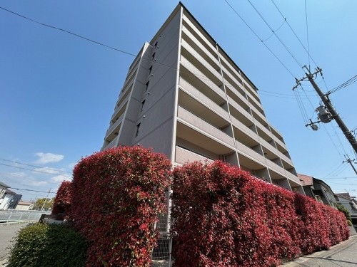 apartment 兵庫県尼崎市潮江１丁目16-1 アミング潮江ウエスト2番館　2F