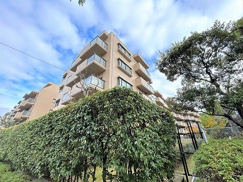 apartment 兵庫県西宮市甲風園１丁目10-4 岩崎ビル1.2階