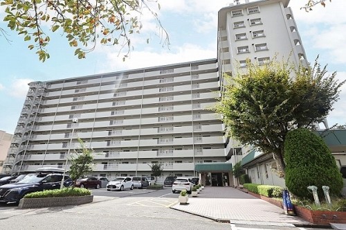 apartment 兵庫県西宮市甲風園１丁目10-4 岩崎ビル1.2階