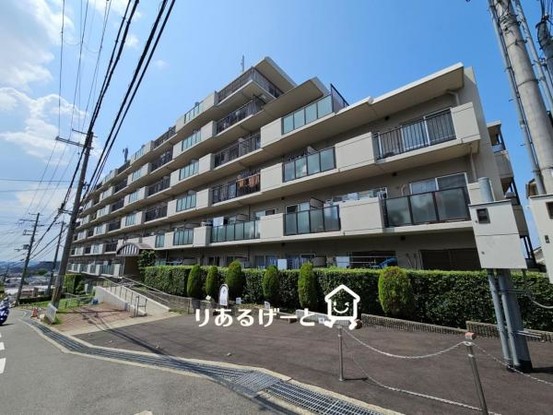apartment 大阪府東大阪市東石切町６丁目
地図を見る