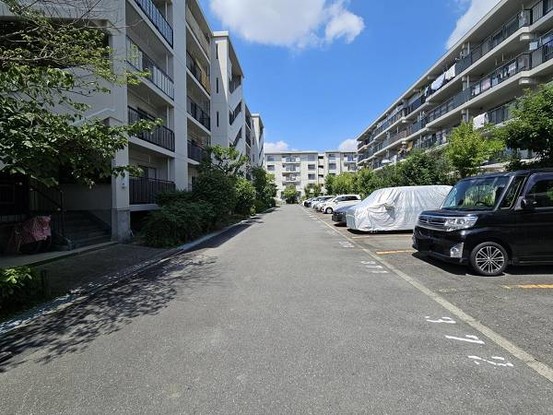 apartment 大阪府大東市川中新町
地図を見る