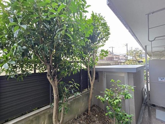 apartment 大阪府摂津市昭和園
地図を見る