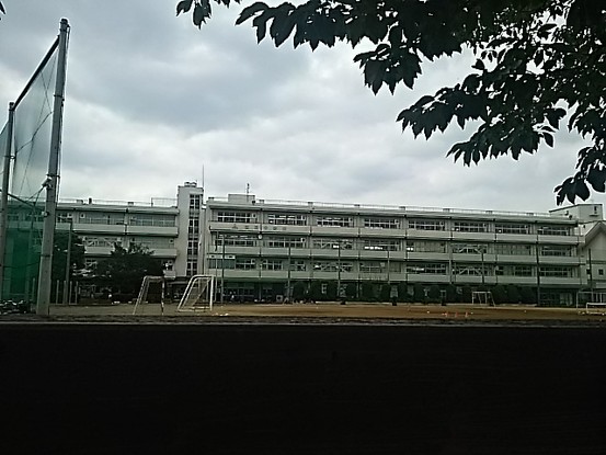 apartment 埼玉県さいたま市南区南浦和２丁目40-12