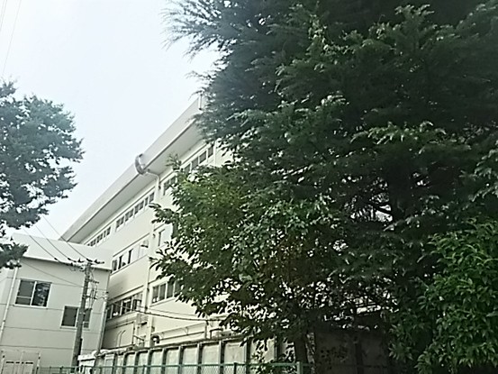apartment 埼玉県さいたま市浦和区本太２丁目
地図を見る