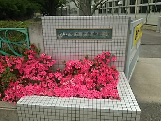 apartment 埼玉県さいたま市南区南浦和２丁目40-12