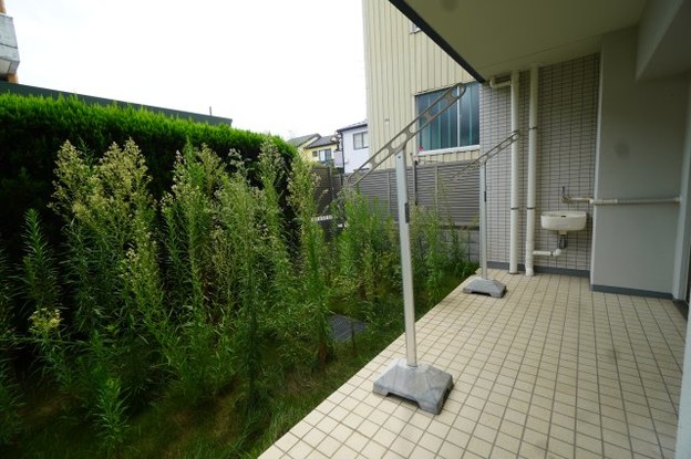 apartment 埼玉県さいたま市南区南浦和２丁目40-12