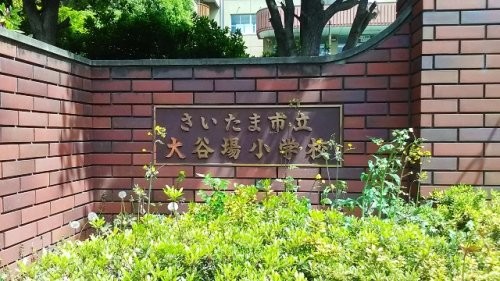 apartment 埼玉県さいたま市南区南浦和２丁目
地図を見る