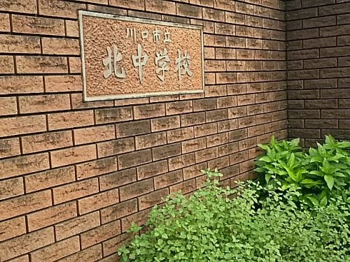 apartment 埼玉県さいたま市南区南浦和２丁目40-12
