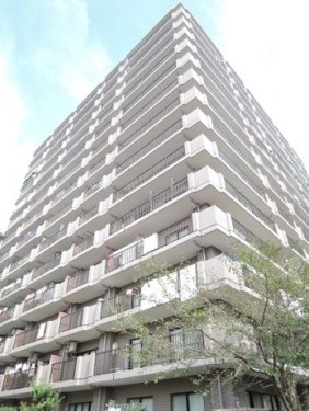 apartment 埼玉県加須市花崎北２丁目
地図を見る