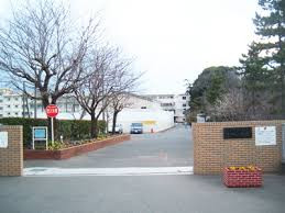 apartment 神奈川県茅ヶ崎市共恵２丁目8-33