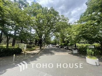 apartment 神奈川県川崎市高津区溝口１丁目8-4 KMビル4階