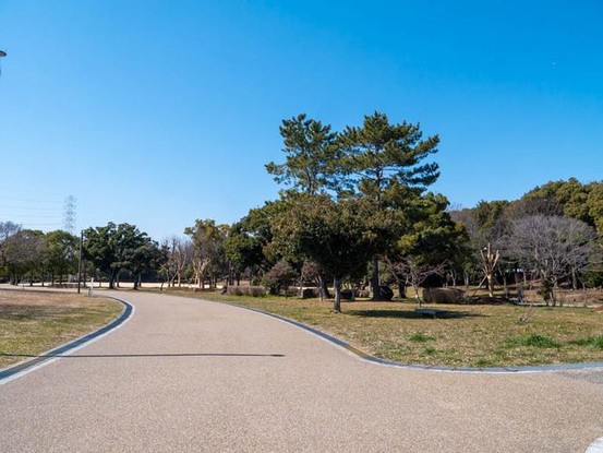 detached 大阪府寝屋川市河北中町
地図を見る