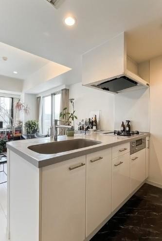 apartment 東京都大田区矢口１丁目5-8 ニックハイム武蔵新田102号室