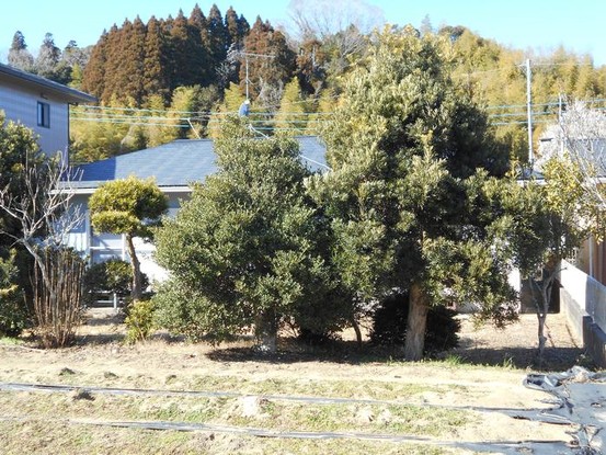 detached 千葉県茂原市八千代１丁目20-10 岩瀬ビル