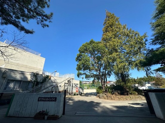 detached 千葉県習志野市大久保１丁目1-10