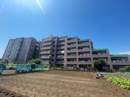 apartment 千葉県習志野市大久保１丁目1-10
