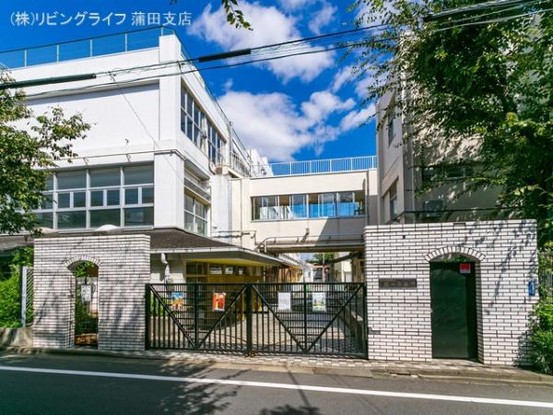 apartment 東京都大田区西蒲田８丁目11-11 リビングライフ蒲田ビル　4階
