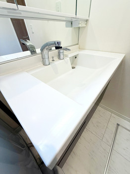 detached 埼玉県三郷市中央１丁目13-14 EVISSAN三郷中央1F