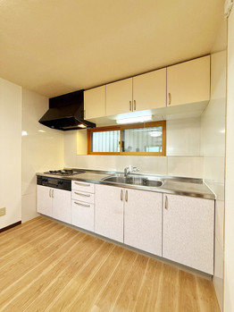 apartment 埼玉県三郷市中央１丁目13-14 EVISSAN三郷中央1F