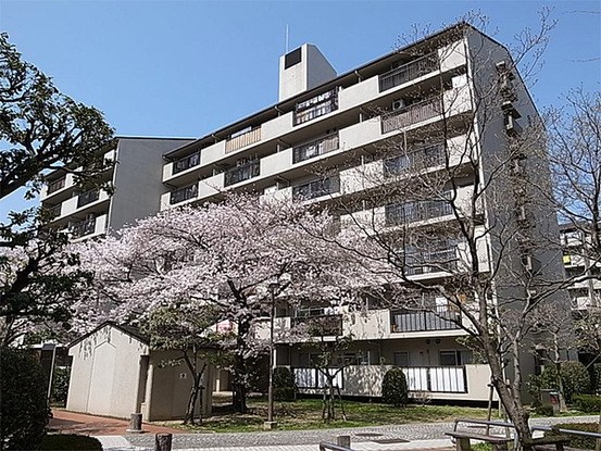 apartment 兵庫県川西市栄町
地図を見る