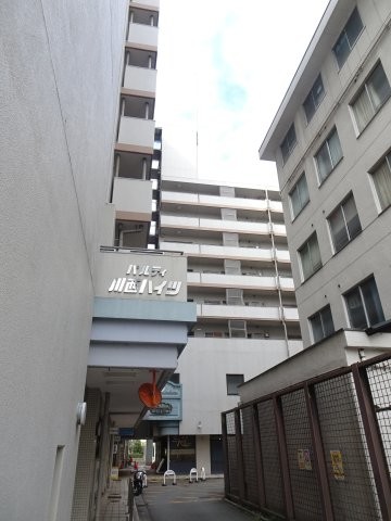 apartment 兵庫県川西市栄町
地図を見る
