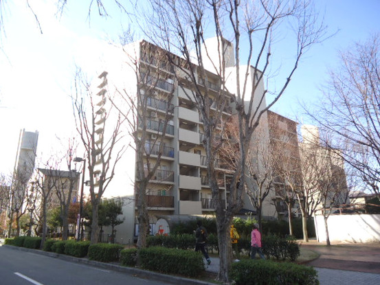 apartment 兵庫県川西市栄町
地図を見る