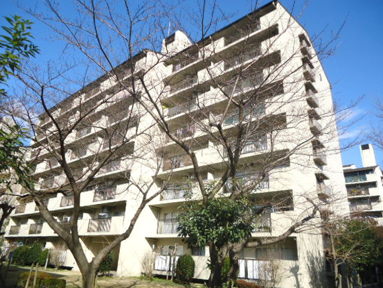 apartment 兵庫県川西市栄町
地図を見る