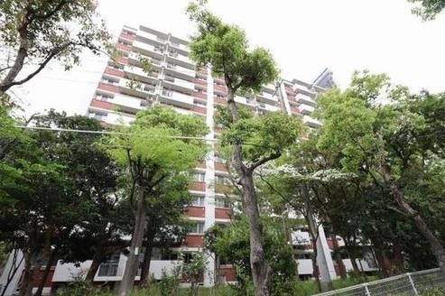 apartment 大阪府豊中市北緑丘２丁目
地図を見る
