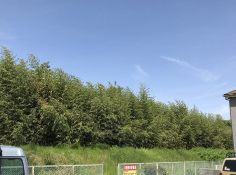 detached 神奈川県相模原市中央区相模原４丁目6番16号