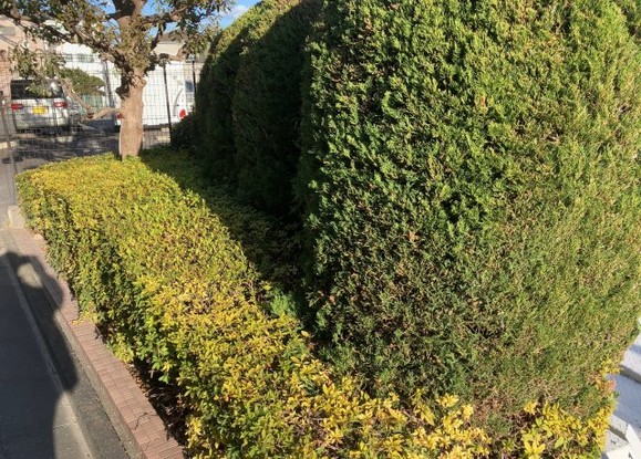 apartment 神奈川県相模原市中央区相模原４丁目6番16号