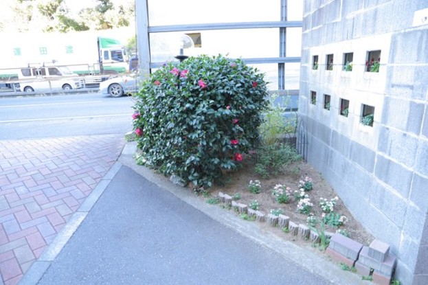 apartment 神奈川県相模原市中央区相模原４丁目6番16号