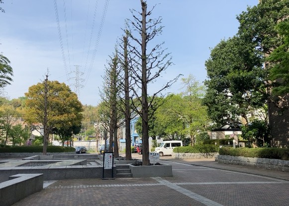 apartment 神奈川県相模原市中央区相模原４丁目6番16号