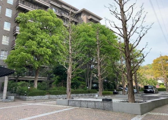 apartment 神奈川県相模原市中央区相模原４丁目6番16号