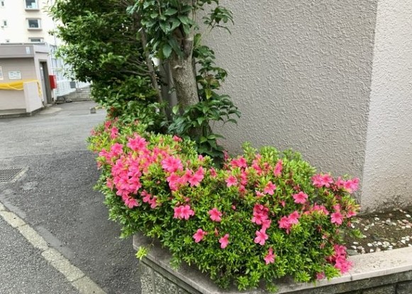 apartment 神奈川県相模原市中央区相模原４丁目6番16号