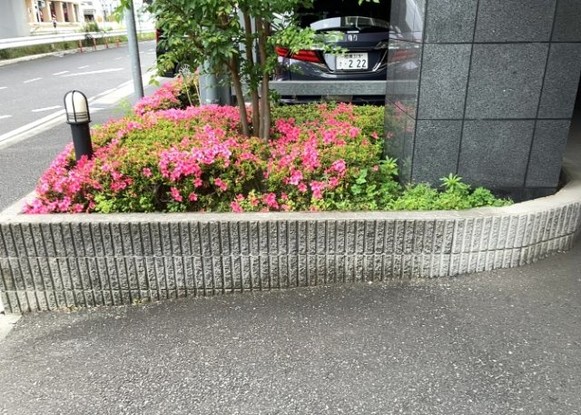 apartment 神奈川県相模原市中央区相模原４丁目6番16号