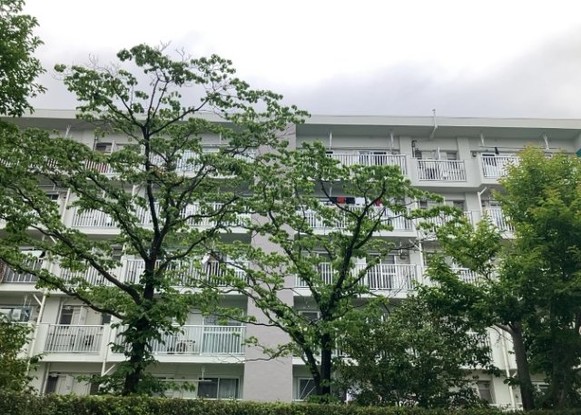 apartment 神奈川県相模原市中央区相模原４丁目6番16号