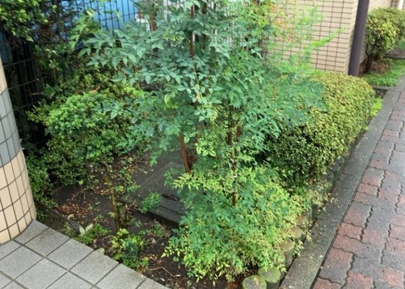 apartment 神奈川県相模原市中央区相模原４丁目6番16号