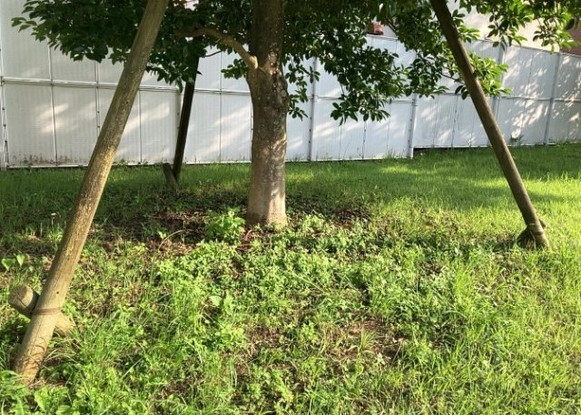 apartment 神奈川県相模原市中央区相模原４丁目6番16号