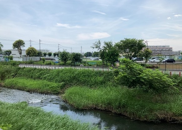 apartment 神奈川県相模原市中央区相模原４丁目6番16号