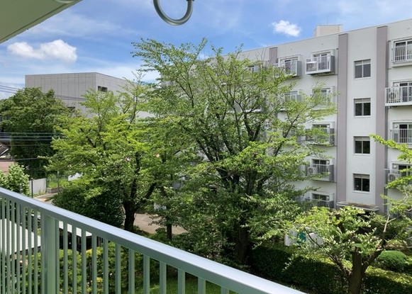 apartment 神奈川県相模原市中央区相模原４丁目6番16号