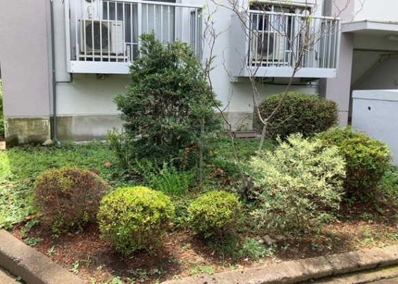 apartment 神奈川県相模原市中央区相模原４丁目6番16号