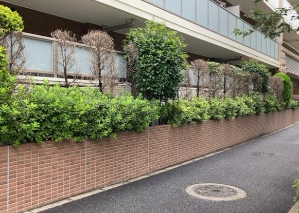apartment 神奈川県相模原市中央区相模原４丁目6番16号