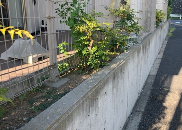 apartment 神奈川県相模原市中央区相模原４丁目6番16号